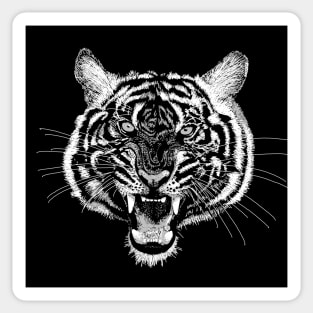 Hand drawn Tiger Angry Face - Roaring Sticker